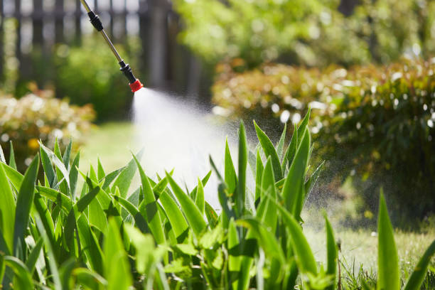 24/7 Emergency Mosquito Control experts in Jackson, KY