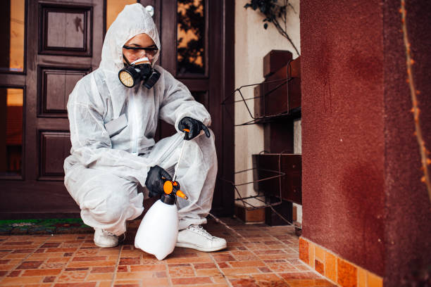 Reliable Mosquito Control contractor in Jackson, KY by Show Me Pest Control